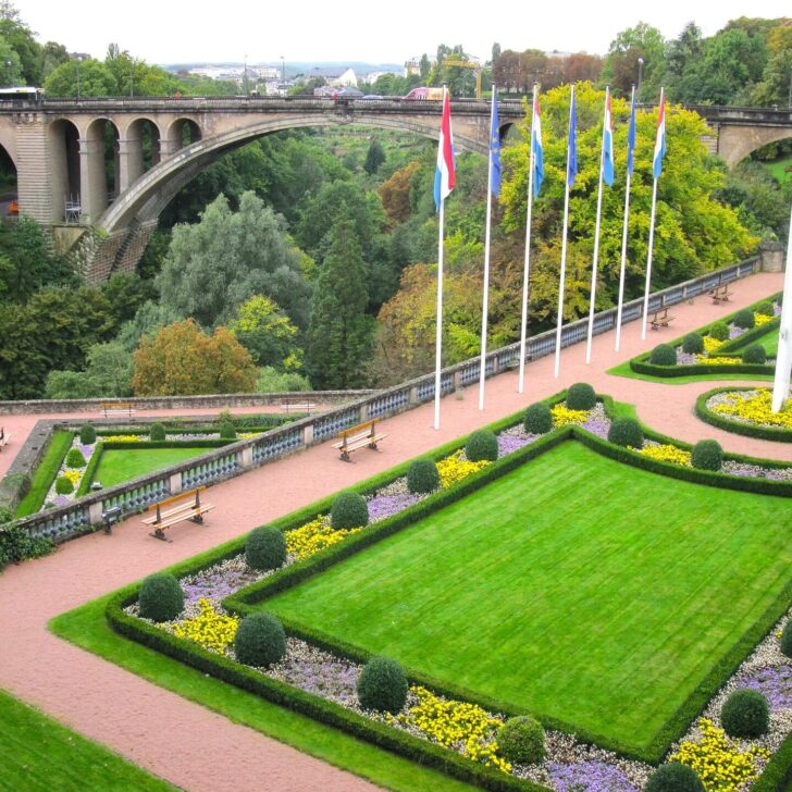 Establishing a Family Office in Luxembourg